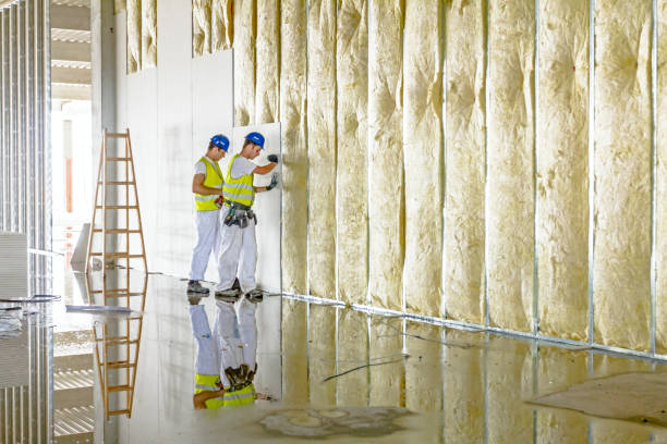Best Spray Foam Insulation in Frankenmuth, MI